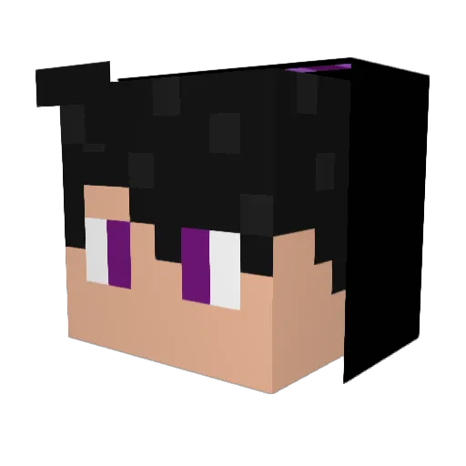 NoSence69 Minecraft avatar head, 3D render