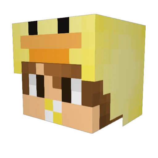 NoShiit Minecraft avatar head, 3D render