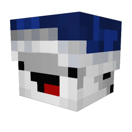 NoShorty Minecraft avatar head, 3D render
