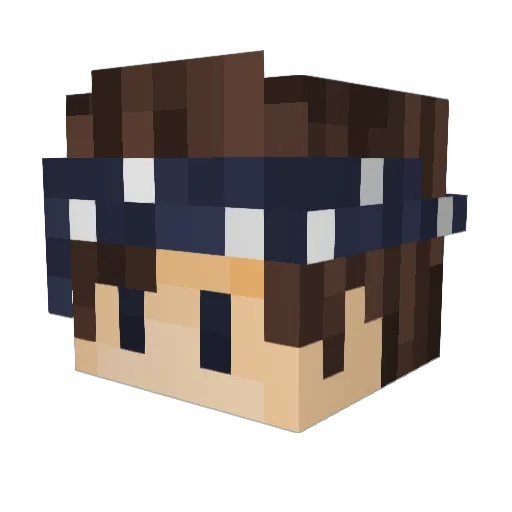 NoSiLaIx Minecraft avatar head, 3D render