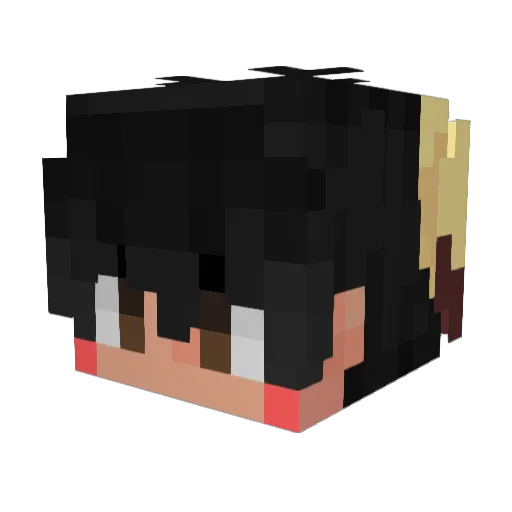 NoSkillAce Minecraft avatar head, 3D render