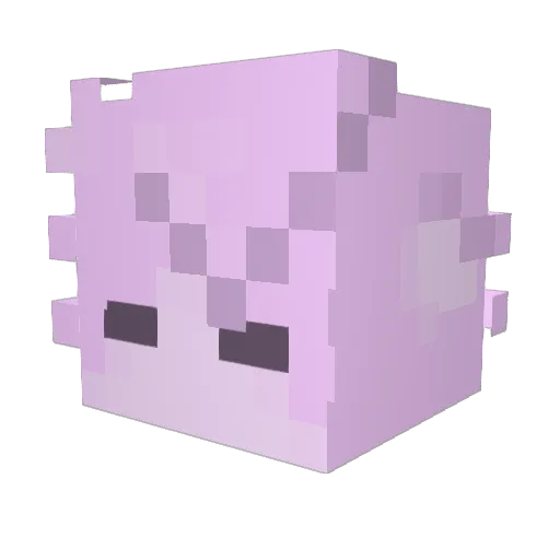 NoSkillsy Minecraft avatar head, 3D render