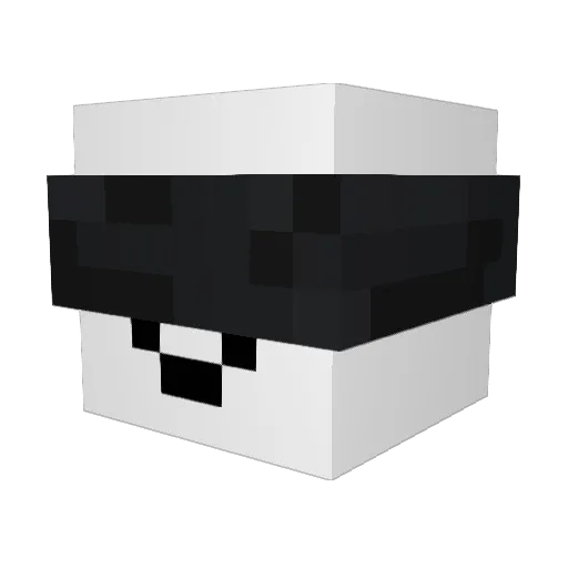 NoSlak_ Minecraft avatar head, 3D render