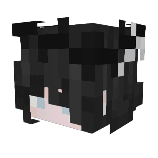 NoSoyKiller Minecraft avatar head, 3D render