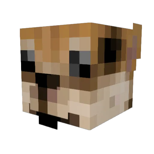 NoSoyRen Minecraft avatar head, 3D render
