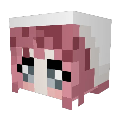 NoSoyWalky Minecraft avatar head, 3D render