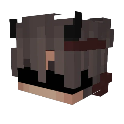 NoSpace_53 Minecraft avatar head, 3D render