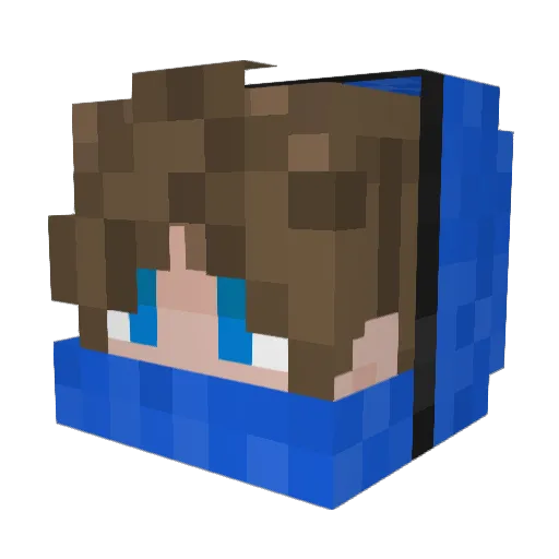 NoSpeedUpGaming Minecraft avatar head, 3D render