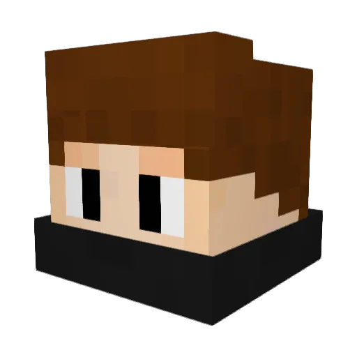 NoStrave Minecraft avatar head, 3D render
