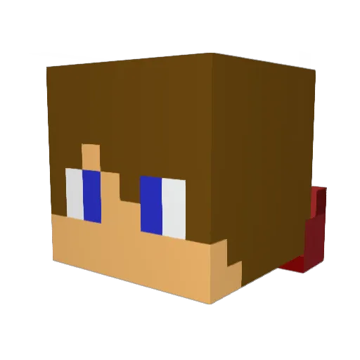 NoSuRv1vOrS Minecraft avatar head, 3D render