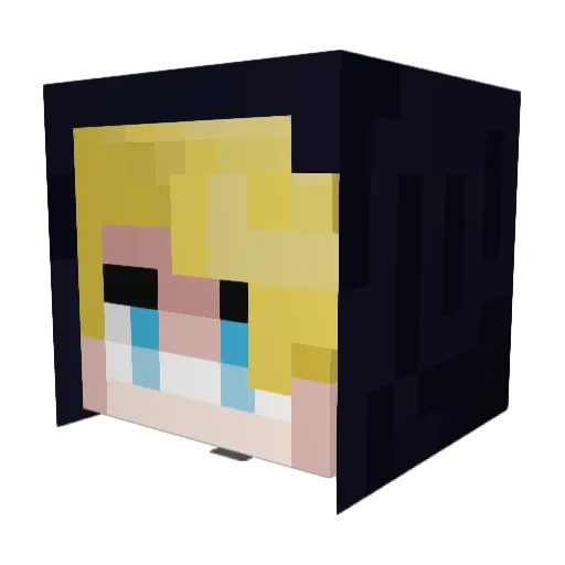 NoTFollka Minecraft avatar head, 3D render