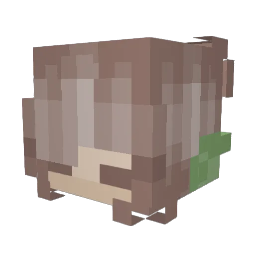 NoTLiLoU Minecraft avatar head, 3D render