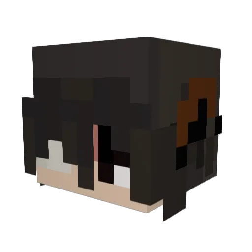 NoTSo17 Minecraft avatar head, 3D render