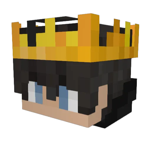 NoT_FreEzEe Minecraft avatar head, 3D render