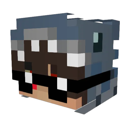 NoT_St0kiHypixel Minecraft avatar head, 3D render