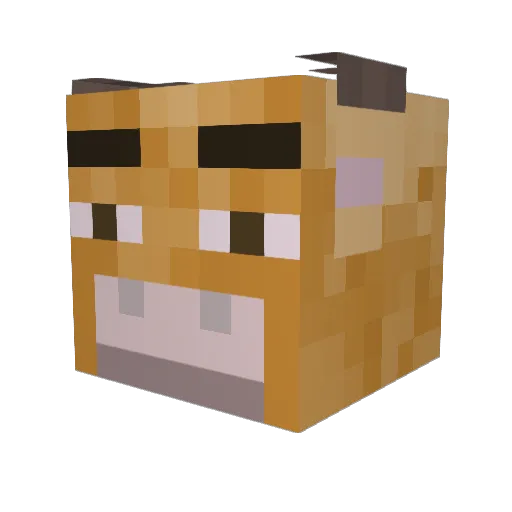 NoThanks212 Minecraft avatar head, 3D render