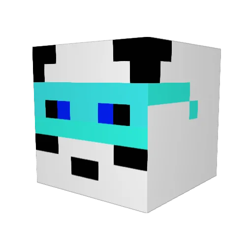 NoThingToLose Minecraft avatar head, 3D render