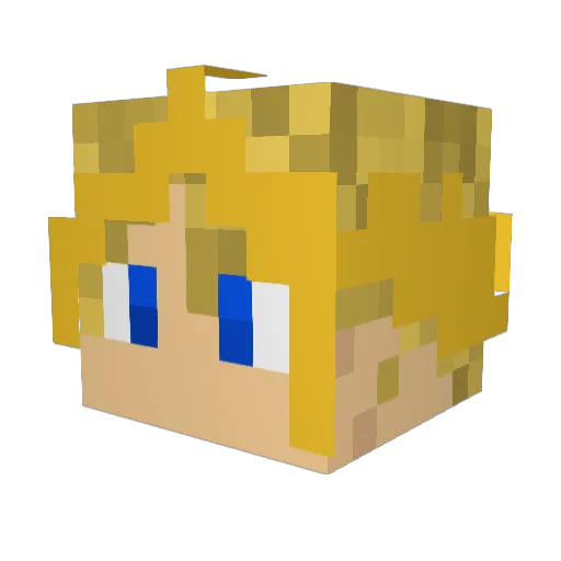 NoTime2Play Minecraft avatar head, 3D render