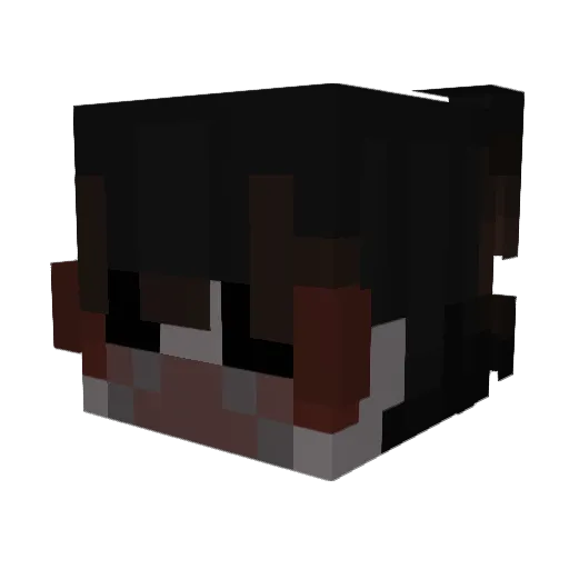 NoTimeToLose Minecraft avatar head, 3D render