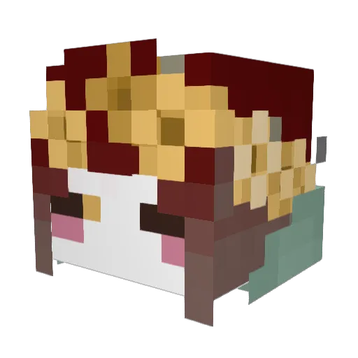NoToR1OuS Minecraft avatar head, 3D render