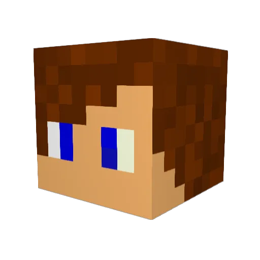 NoTonNo Minecraft avatar head, 3D render