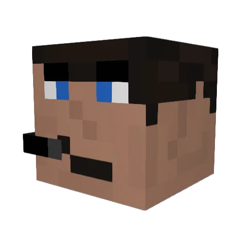 NoUnderscores Minecraft avatar head, 3D render