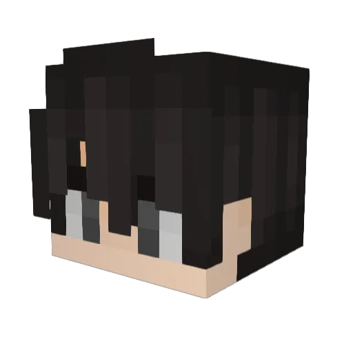 NoVPN Minecraft avatar head, 3D render