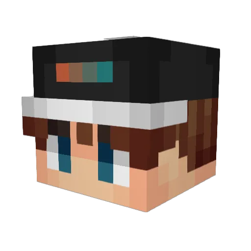 NoVa12345678 Minecraft avatar head, 3D render