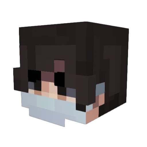 NoWay4u Minecraft avatar head, 3D render