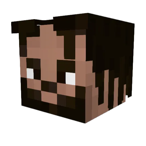 NoWaySoCool Minecraft avatar head, 3D render