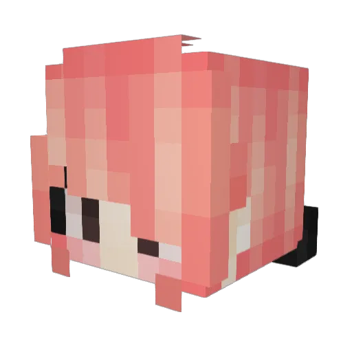 NoWifi Minecraft avatar head, 3D render