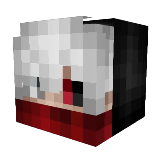 NoWipe_ Minecraft avatar head, 3D render