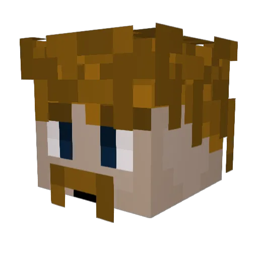 NoXoS_ Minecraft avatar head, 3D render