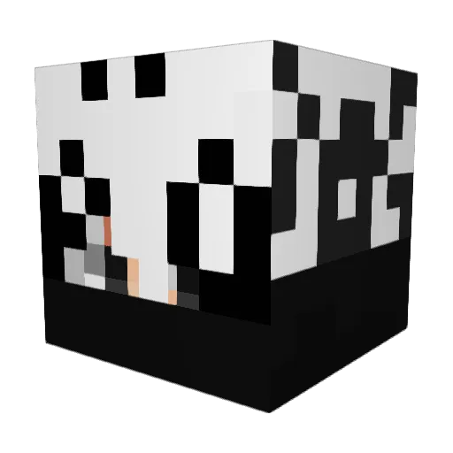 NoXxXt Minecraft avatar head, 3D render