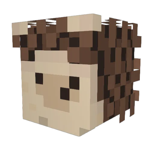 No_BaBag Minecraft avatar head, 3D render