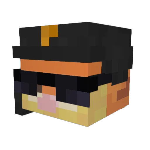 No_Bana0010 Minecraft avatar head, 3D render