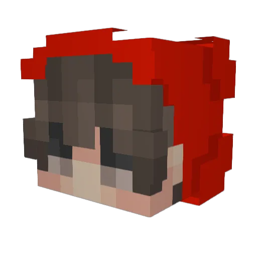 No_Burning_Trash Minecraft avatar head, 3D render