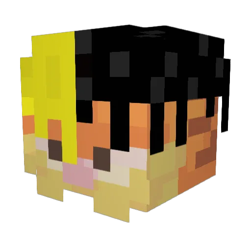 No_Eye Minecraft avatar head, 3D render