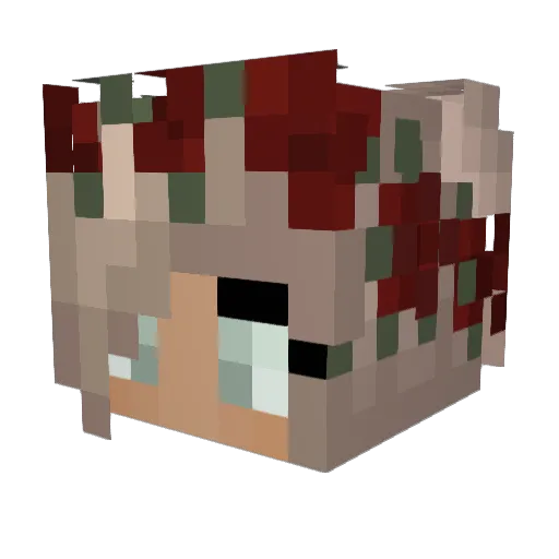 No_Flaws Minecraft avatar head, 3D render