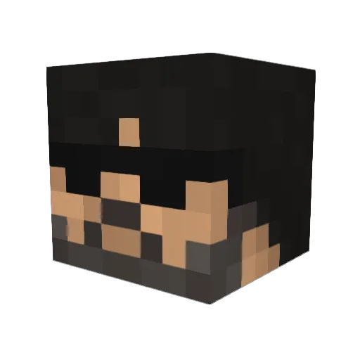 No_Go_Zone Minecraft avatar head, 3D render