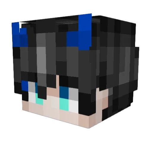 No_Live3 Minecraft avatar head, 3D render