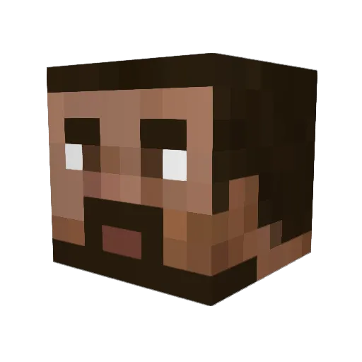 No_Money Minecraft avatar head, 3D render