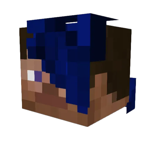 No_Name1748 Minecraft avatar head, 3D render