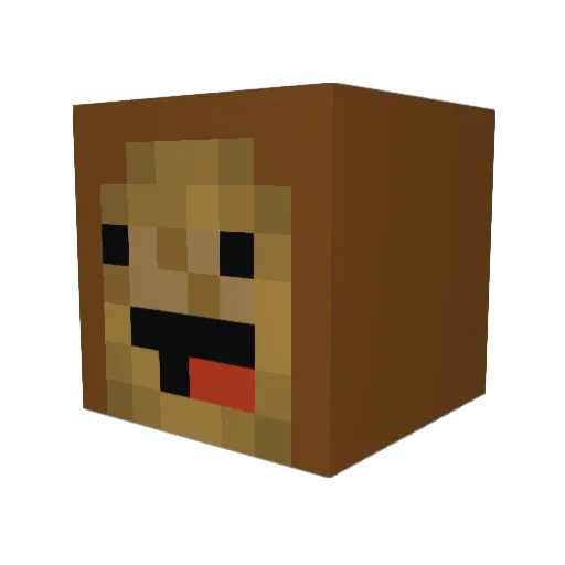 No_Tosti Minecraft avatar head, 3D render