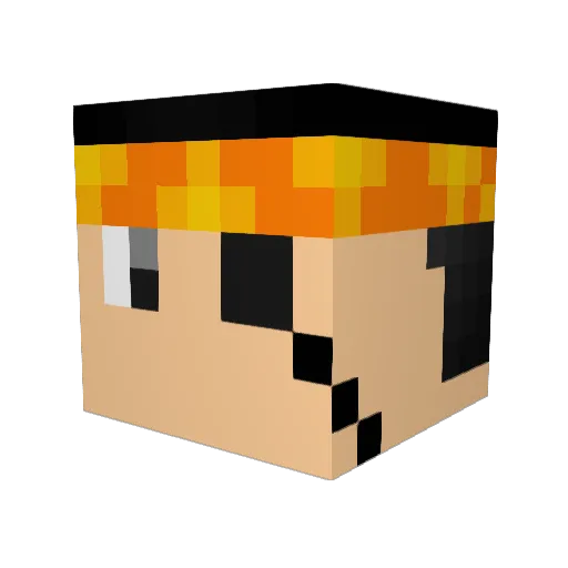 No_Touch_Account Minecraft avatar head, 3D render