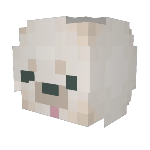 No__Nana Minecraft avatar head, 3D render