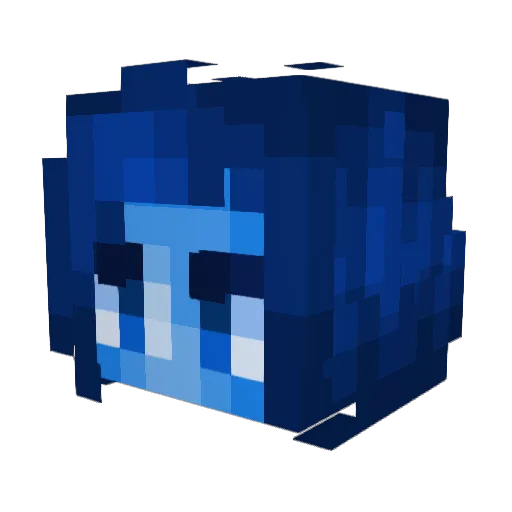 No_oWay Minecraft avatar head, 3D render