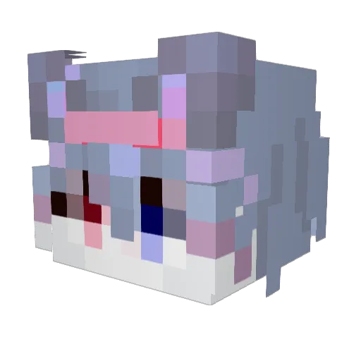 No_wake47 Minecraft avatar head, 3D render