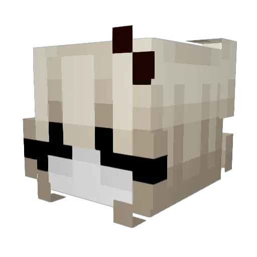 Noa2511 Minecraft avatar head, 3D render