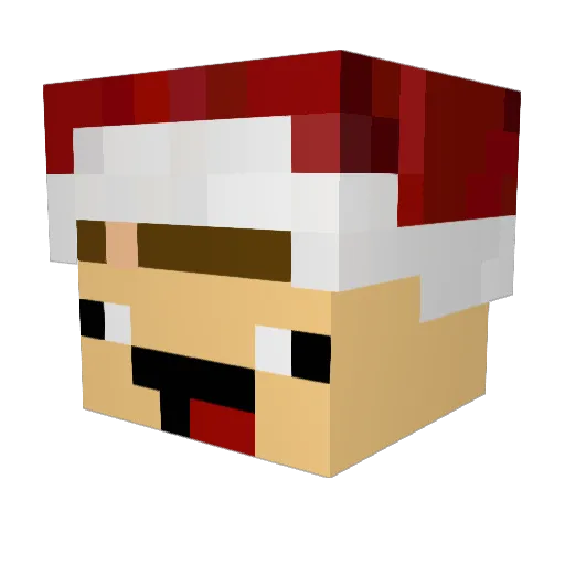 Noa26 Minecraft avatar head, 3D render